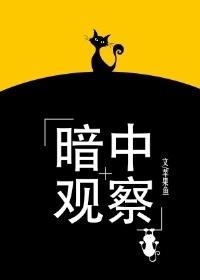 暗中观察. jpg