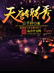 天唐锦绣txt八零电子书