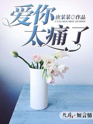 爱你太痛了第18章
