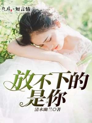 放不下的是你什么歌