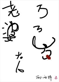 老婆大人万万岁百度