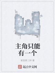 主角只有一个老婆的