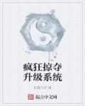 疯狂掠夺者大全