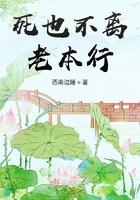 死也不离婚无弹窗全文免费