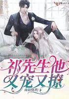 祁先生太傲娇免费版