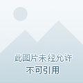 黑欲青春王焱肖恩哲在线阅读