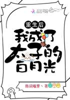 重生后我成了太子的白月光许芊芊