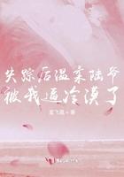 失踪之后凉雾阅读