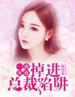 一夜沉婚免费全文阅读目录