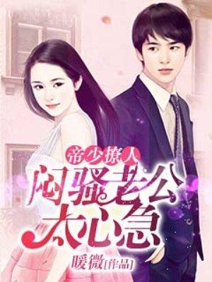 闷骚老公宠上瘾简介