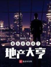 重生之我是地产大亨贰笔青年