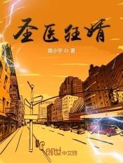圣医狂婿叶秋免费阅读