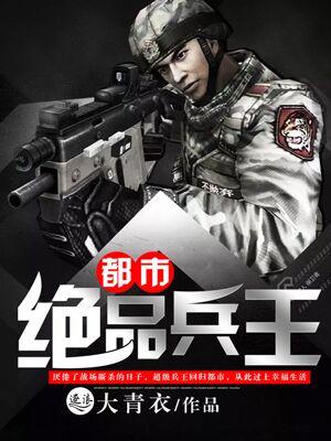 都市之绝品兵锋