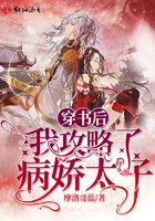 穿书后我攻略了病娇太子免费阅读