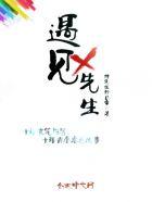 别名遇见先生