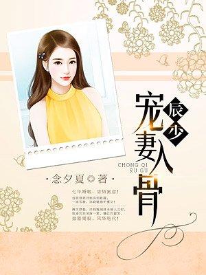 辰少宠妻入骨txt