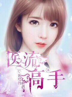 医流高手TXT全集