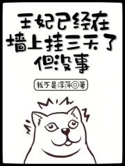 王妃已经挂在城门楼子上三天by张大吉