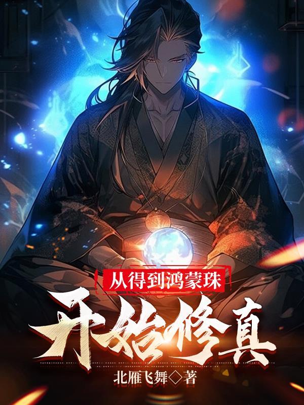 从得到鸿蒙珠开始修真作 者北雁飞舞