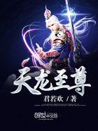 天龙尊品