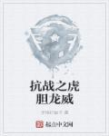 抗战之虎贲崛起