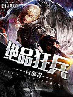 绝品狂兵陈照