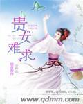 贵女难求男主身世