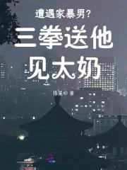 家暴男事件回顾