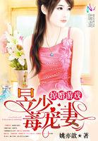 掠婚免费阅读全文