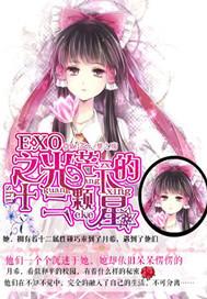EXO之光芒下的十二颗星TXT