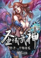圣域武霸宛若新衣