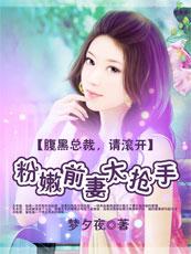 腹黑总裁来敲门免费阅读