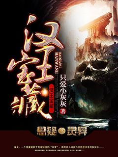 汉王酒53度500ml价格