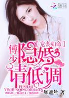 傅庭渊