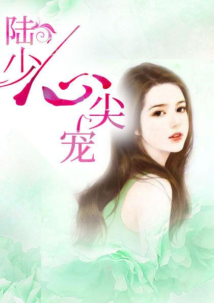 主角陆景琛顾