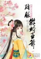 婢女的笑