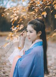 太子萌宠