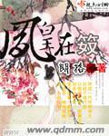 凤皇V17