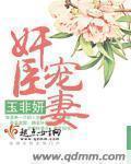 奸臣宠妻日常无弹窗