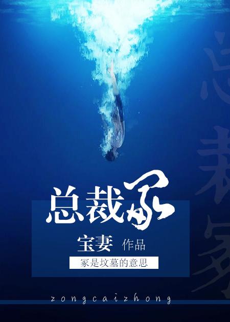 总裁冢txt书包网