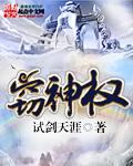 窃神权 字数