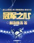 冠军之心TXT奇书