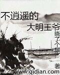 大清逍遥王爷
