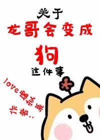 龙哥龙哥下一句