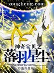 神奇宝贝之落羽星辰免费观看