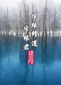 半缘修道半缘君C500