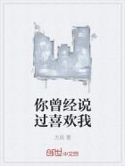 你曾说过喜欢