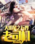 大明星系统全文阅读
