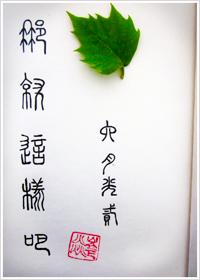 那就这样吧 再爱都曲终人散