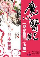 魔妃独宠腹黑痴傻王爷